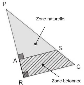 Schéma de la cour d'école : triangle PRC rectangle en R, zone naturelle PAS et zone bétonnée RASC.