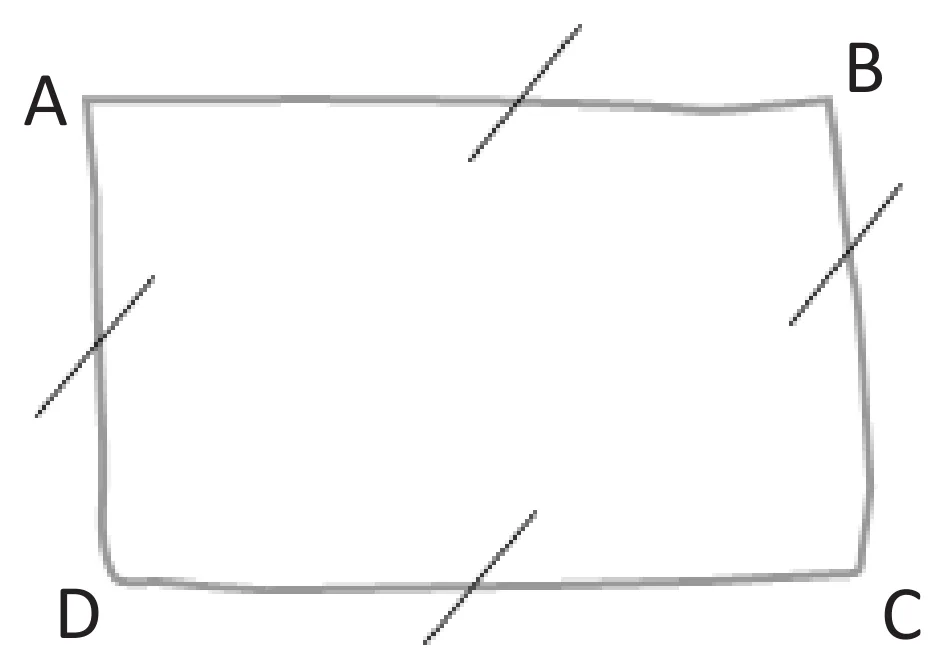 Quadrilatère ABCD dessiné à main levée, les quatre côtés portent une marque de longueur identique.