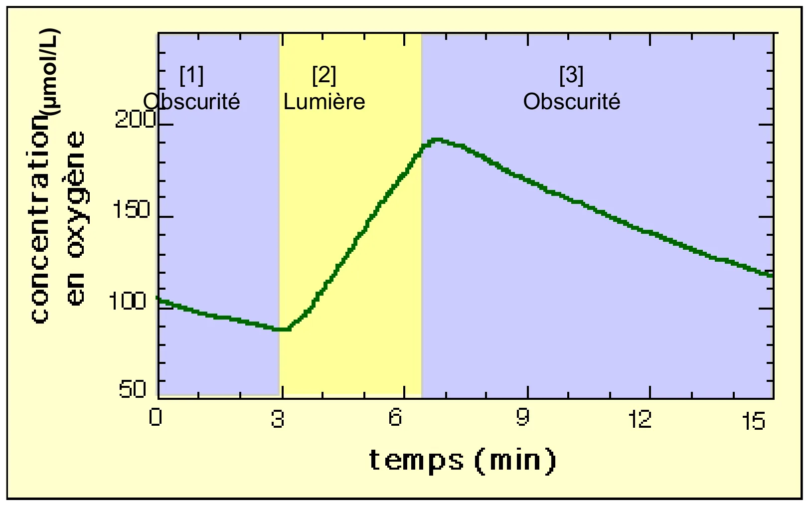 graphique de la concentration en dioxygène (µmol/L) d'une culture d'algues vertes unicellulaires au cours du temps, avec trois phases successives — [1] Obscurité, [2] Lumière, [3] Obscurité. Source : planet-vie.ens.fr.
