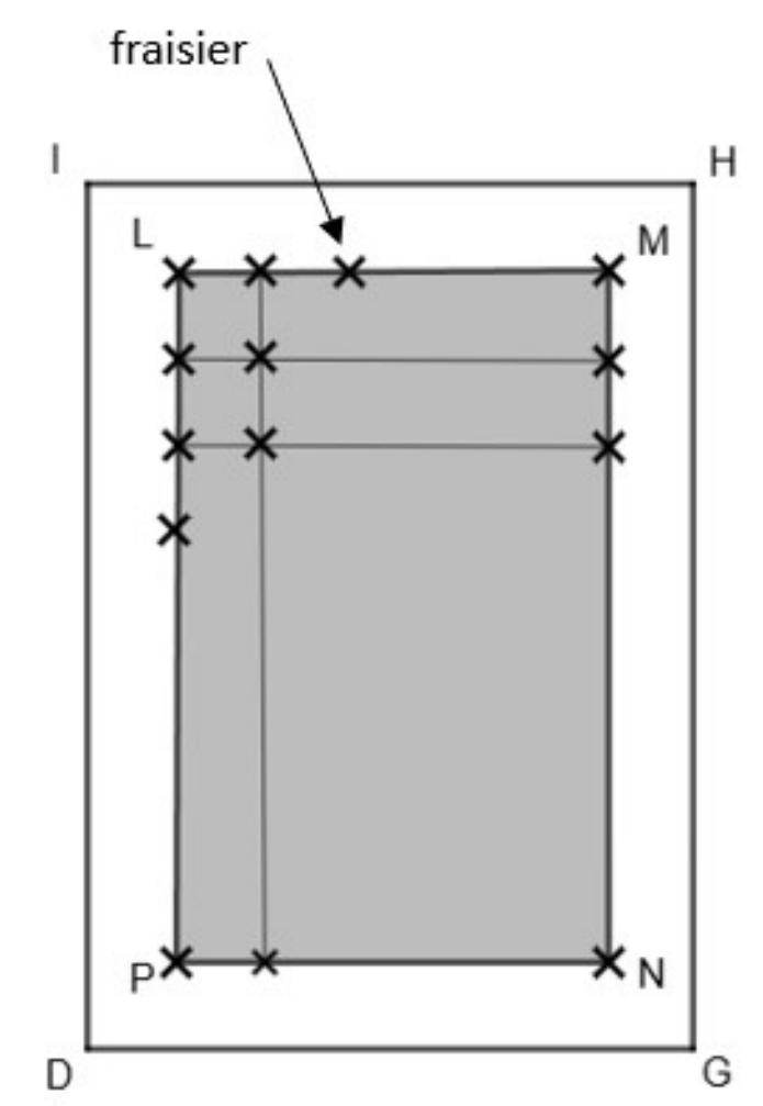 Schéma du potager IHGD contenant le rectangle grisé LMNP (L en haut à gauche, M en haut à droite, N en bas à droite, P en bas à gauche). Des croix marquent les fraisiers plantés aux quatre sommets puis suivant un maillage carré amorcé le long des bords ; une flèche légendée « fraisier » pointe vers une croix.