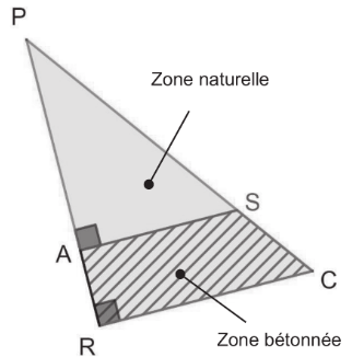 Schéma de la cour d'école : triangle PRC rectangle en R, zone naturelle PAS et zone bétonnée RASC.