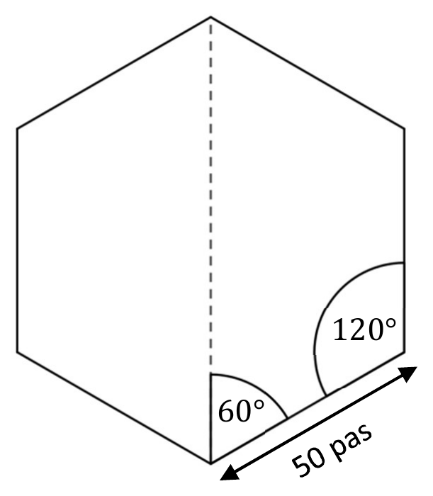 Hexagone régulier avec sa diagonale verticale en pointillés, un angle intérieur de 120°, un angle de 60° entre la diagonale et un côté, et un côté étiqueté 50 pas.