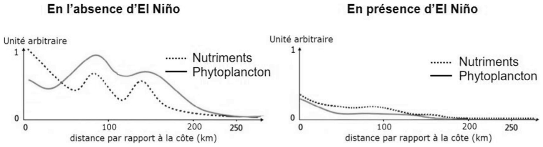 évolution de la quantité de nutriments dans l'océan Pacifique en fonction de la distance à la côte du Pérou, en l'absence et en présence d'El Niño. Source : d'après www.fao.org.